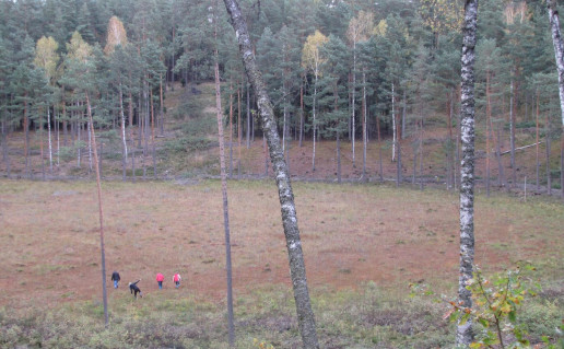 3_Pustlaukio duobė (2).jpg